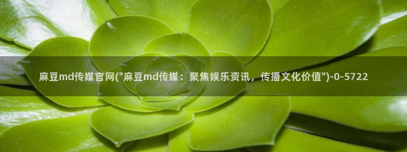 麻豆斤传媒官网：麻豆md传媒官网(\
