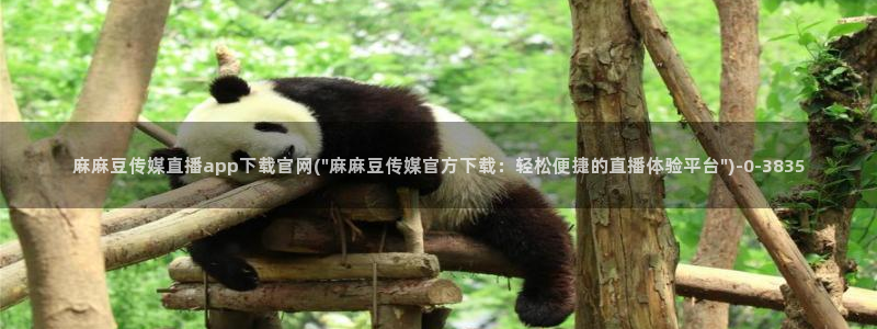 麻豆传媒官网西瓜：麻麻豆传媒直播app下载官网(\