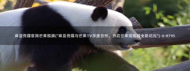 麻豆呀传媒官网：麻豆传媒官网芒果视频(\