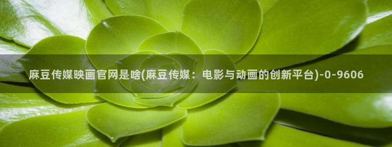 麻豆床传媒官网免费：麻豆传媒映画官网是啥(麻豆传媒：电影与动画的创新平台)