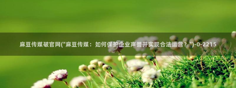 麻豆传媒体官网：麻豆传媒破官网(\