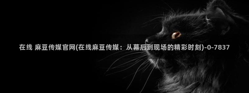 麻豆视传媒网站官网：在线 麻豆传媒官网(在线麻豆传媒：从幕后到现场的精彩时刻)