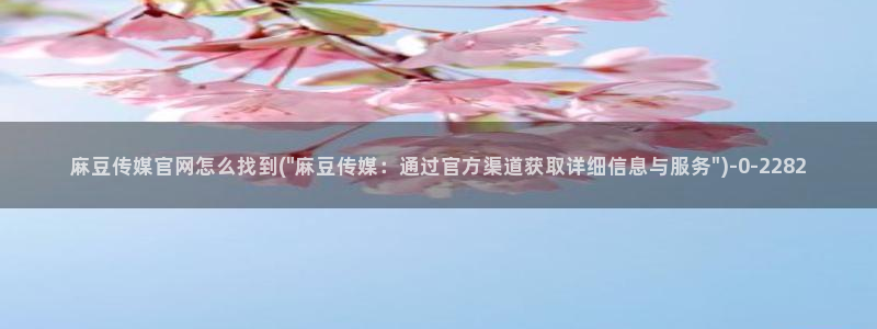 麻豆官网传媒入口：麻豆传媒官网怎么找到(\