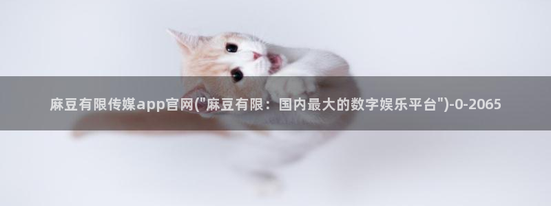 麻豆传媒官网 知乎：麻豆有限传媒app官网(\