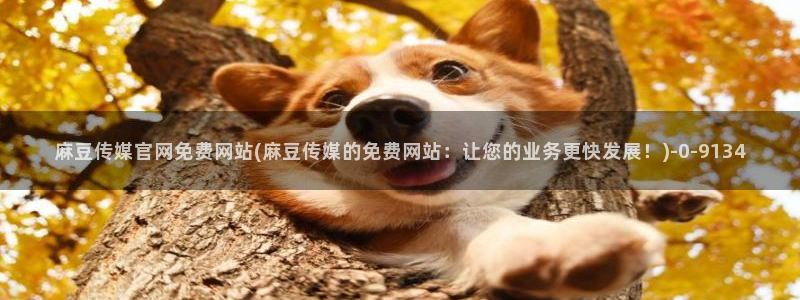 麻豆斤传媒官网：麻豆传媒官网免费网站(麻豆传媒的免费网站：让您的业务更快发展！)