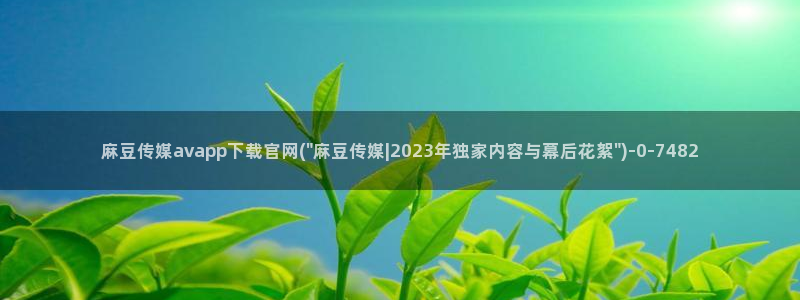 麻豆传媒官网介绍：麻豆传媒avapp下载官网(\