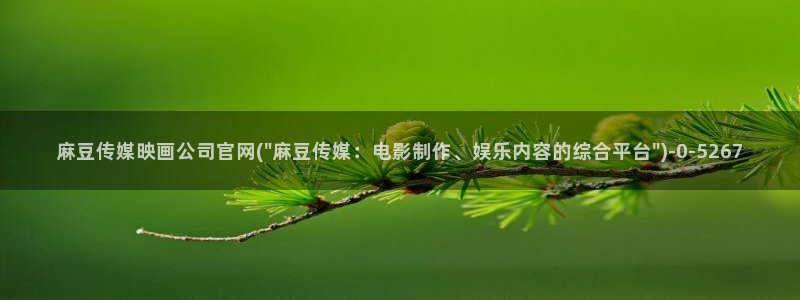 麻豆影视传媒官网入口：麻豆传媒映画公司官网(\