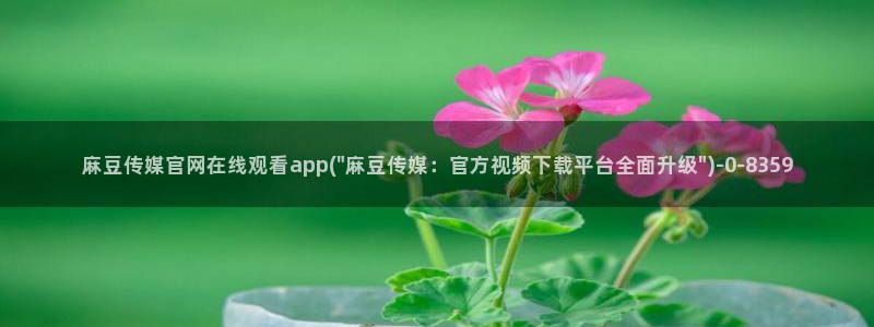 麻豆传媒官网w：麻豆传媒官网在线观看app(\