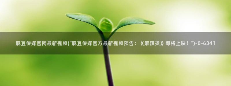 麻豆传媒官网苹果：麻豆传媒官网最新视频(\