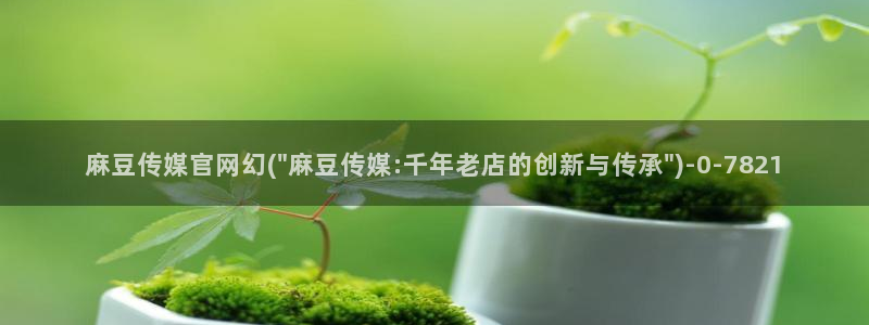 麻豆传媒动画官网：麻豆传媒官网幻(\