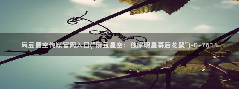 麻豆传媒官网打不开：麻豆星空传媒官网入口(\