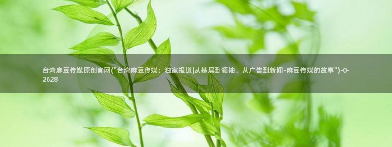 mdpud麻豆传媒官网pub：台湾麻豆传媒原创官网(\