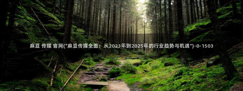 麻豆传媒手机官网：麻豆 传媒 官网(\