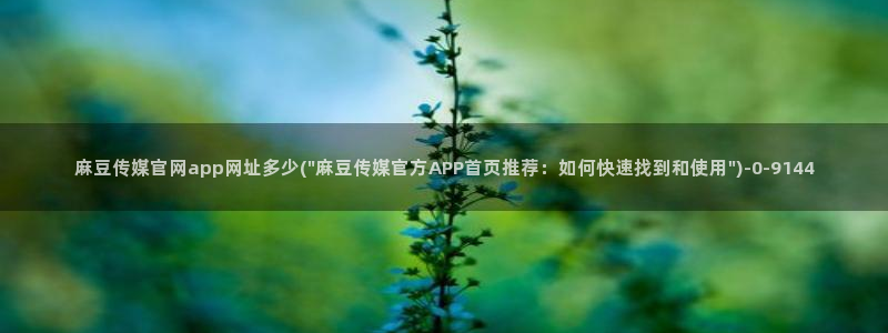 麻豆影像传媒官网在线：麻豆传媒官网app网址多少(\