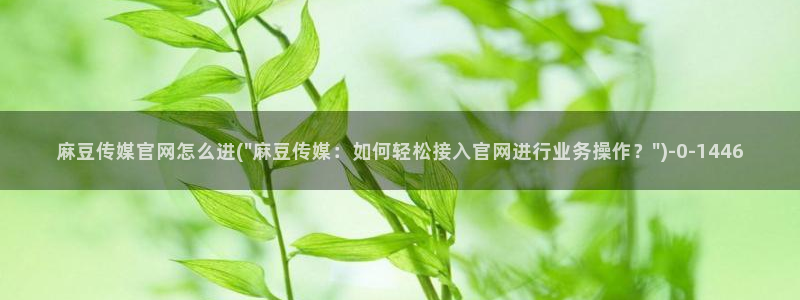 麻豆视传媒官网直：麻豆传媒官网怎么进(\