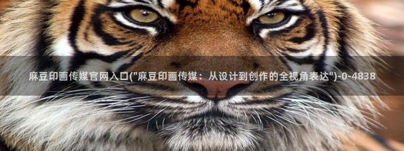 麻豆传媒aqq官网：麻豆印画传媒官网入口(\
