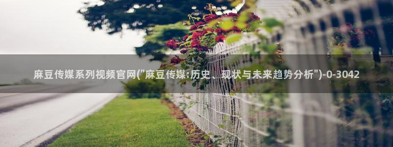麻豆传媒官网电脑版：麻豆传媒系列视频官网(\