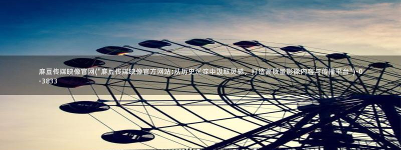 麻豆传媒官网公司