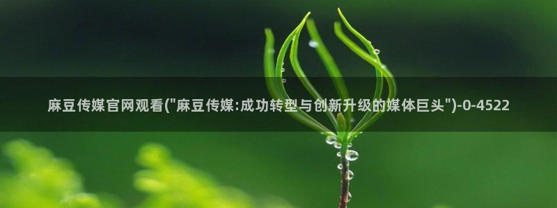 麻豆传媒官网在线：麻豆传媒官网观看(\