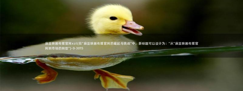 麻豆传媒官网免费观看