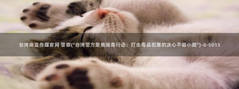 麻豆影视传媒免费官网