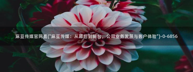 mdpub麻豆传媒官网演员