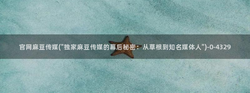 麻豆画视频传媒官网