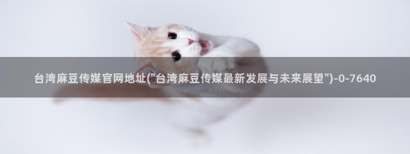 台湾麻豆传媒官网在线