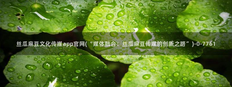 麻豆传媒官网多少啊