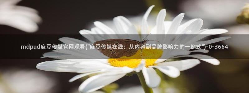 麻豆传媒国产剧情官网