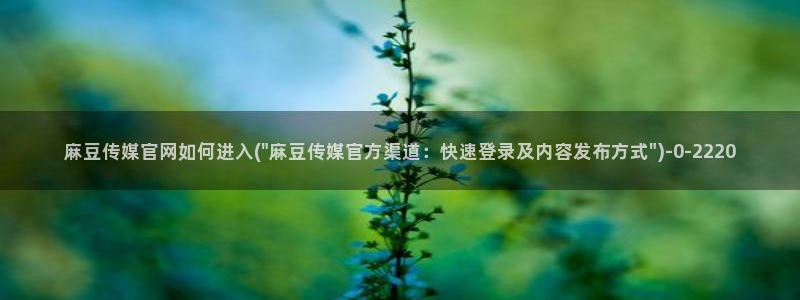 麻豆床传媒映画官网