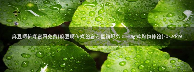 麻豆传媒映视官网