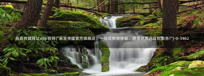 麻豆映传媒官网